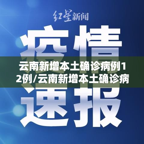 云南新增本土确诊病例12例/云南新增本土确诊病例12例详情